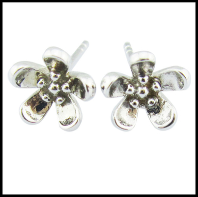 Переносные серебряные серебряные серьги 925 CZ